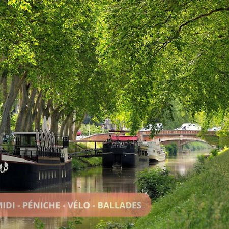 T3 Universites & Hospitals - Havre De Paix Pres Toulouse - Parking - Terrasse מראה חיצוני תמונה